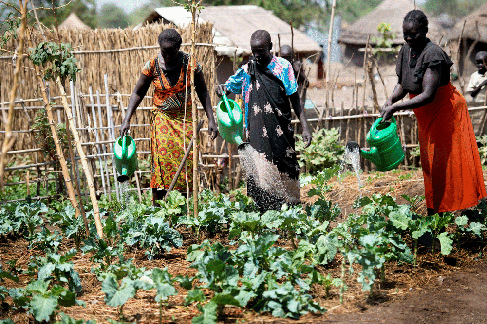 Sogneindsamling 2017 - fotograf Yilmaz Polat