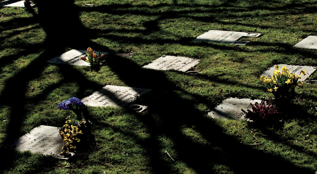 Kirkegård med urnegravsteder i græsplæne med individuelle gravsten nedlagt i græsset. Hver sten har en nedgravet blomstervase