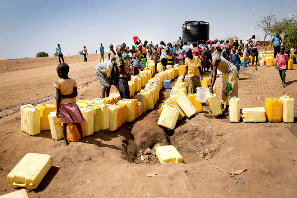 Sogneindsamling 2017 - fotograf Yilmaz Polat