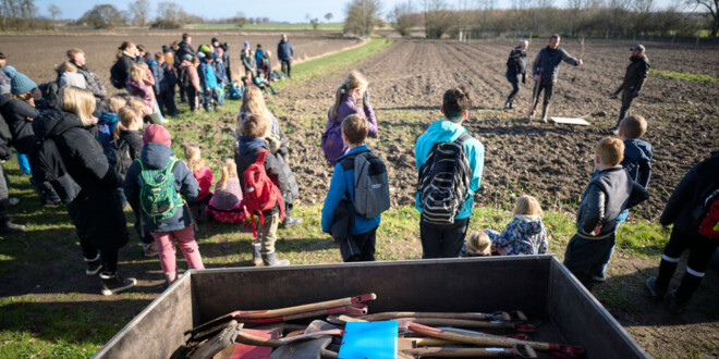 Lokale skolebørn planter træer på præstegårdsjord